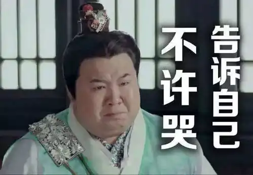 妙啊表情包小胖子胡歌