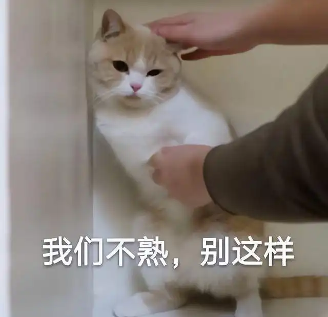  像做手机那样做电视,这家厂商是懂怎么拿捏年轻人的