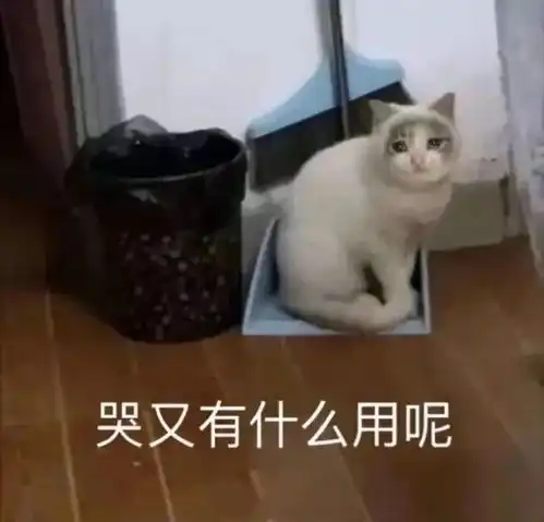  表情包小女孩抖音表情包在哪看0720期