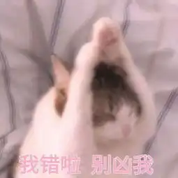  哄男女朋友专用表情包