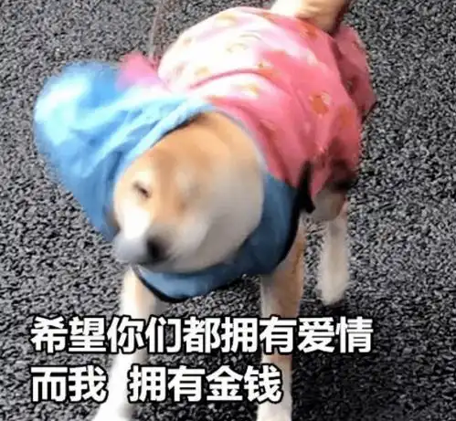 单身狗证表情包开心笑话