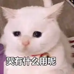 妈妈说我写作业慢生气了怎么说好话