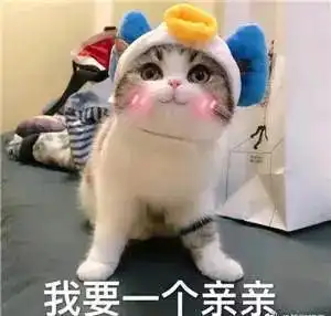  双十一脱单攻略