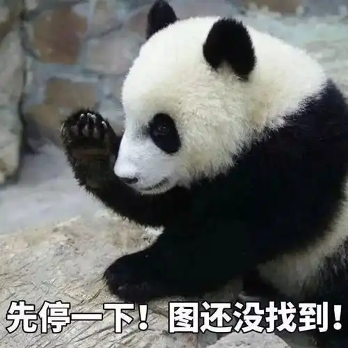  轻松一刻哭辽像王思聪这种烫金财主也有不知道爹富的体验
