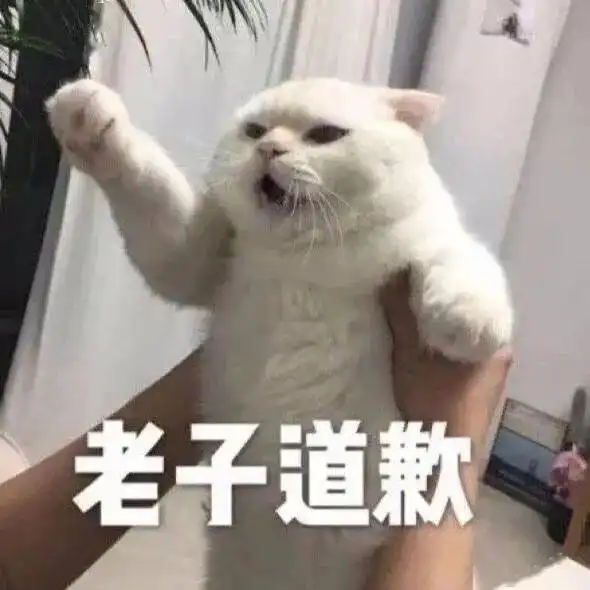  沙雕猫猫表情包