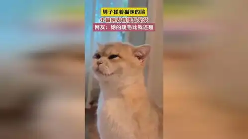  男子揉着猫咪的脸小猫眯表情很是无豪网友她的睫毛比我还翘