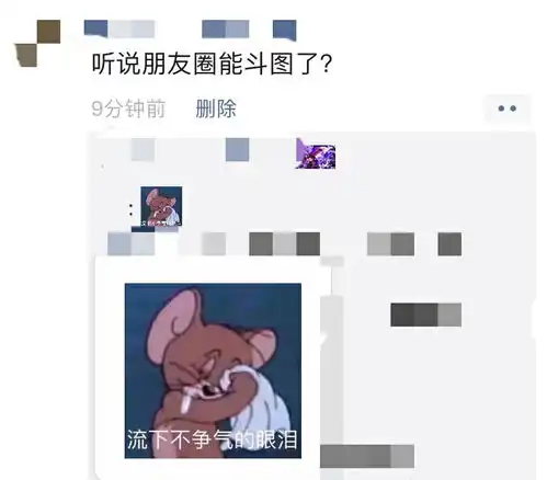  表情微信ios版新功能支持朋友圈评论发表情包准备斗图3dm单机表情