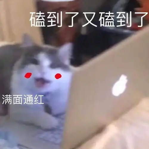  可能剧透这剧每个人物都好可爱呀