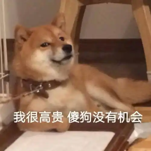  仙女专用可爱表情包可爱文案