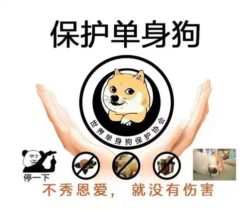  单身狗必看京山七夕自救指南