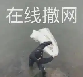 表情包在线撒网
