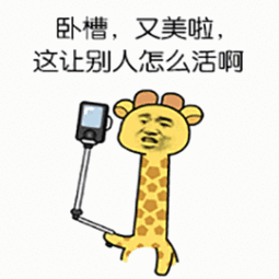大哭表情包动图gif游客