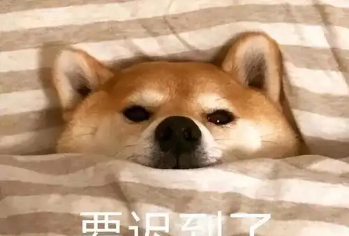  上班36天迟到21次,女子被开除后不满要仲裁,开庭当天又迟到