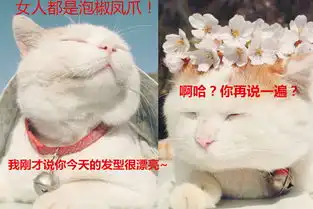  女人都是泡椒凤爪什么梗说女人是泡椒凤爪什么意思