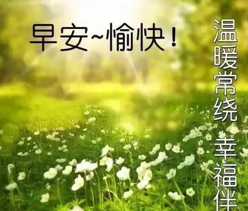  早上好问候语温馨短句有哪些