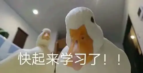  家里飘窗闲着攒灰,老婆这样设计瞬间多个房间,邻居纷纷来效仿