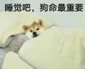 窃瓦拉格表情包狗命