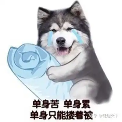单身狗证表情包我单身