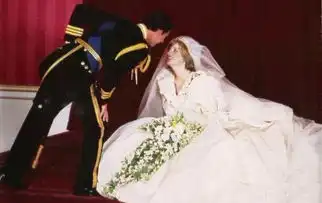  戴安娜离婚20年重温世纪婚礼盛况