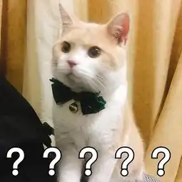  可买猫咪的表情包斗图专用