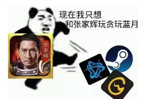 csgo陀螺表情包当你
