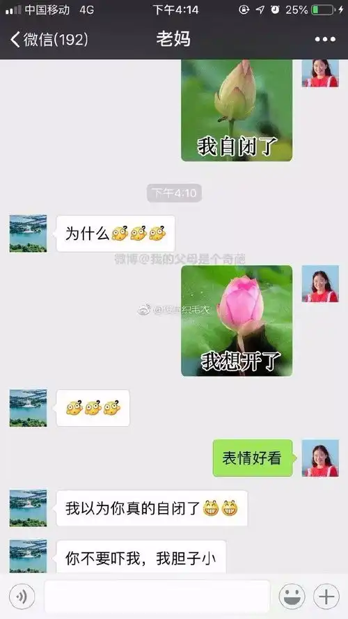  大家都有永远都理解不了表情包的爸妈