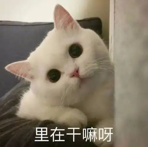  表情包竖起我八卦的小耳朵