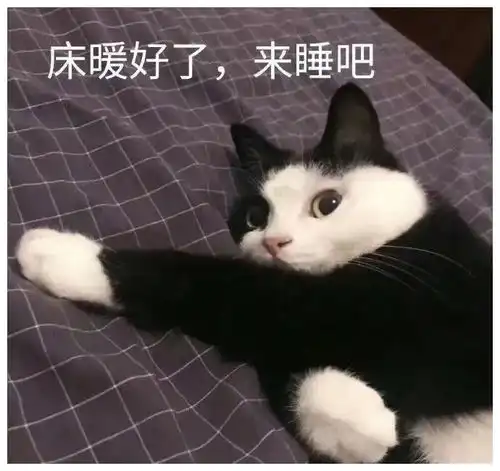  表情包你被我抓住了,就是我对象了
