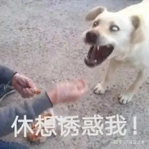  关于法考,如果有人和你说这几句话,千万别盲目听信2021年法考