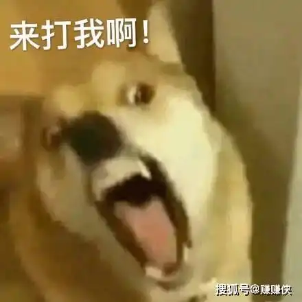  伤心表情包不摘所错,我好像要恋爱了