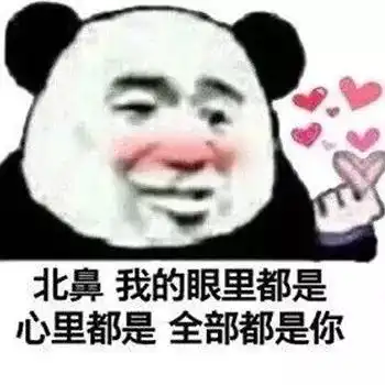  每日表情微信聊天斗图