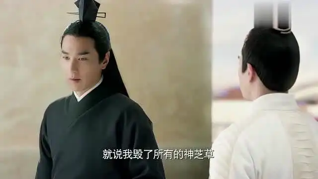  三生三世十里桃花阿离这表情也太可爱了吧