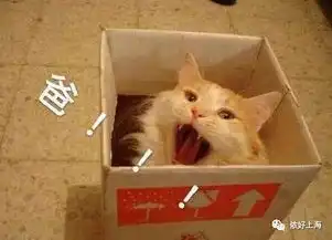 可爱猫咪表情包斗图专用
