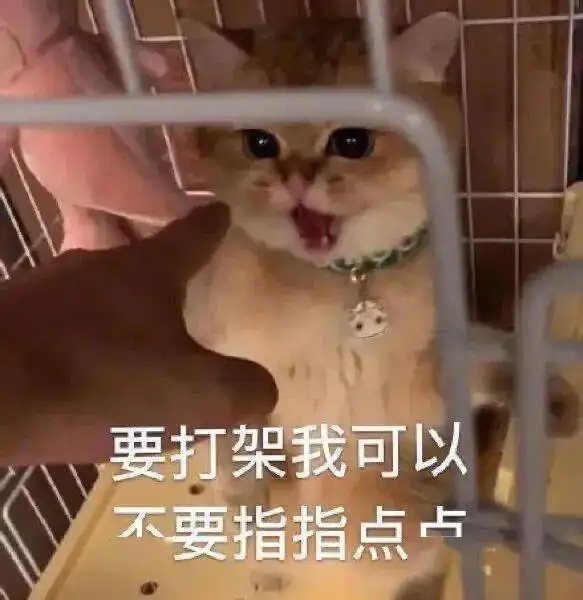  聊天表情包沙雕如你朋友