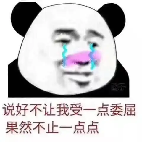  阿顾的相册表情包