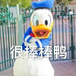 简笔画鸭子表情包唐老鸭