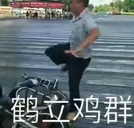  海口大叔功夫表情包