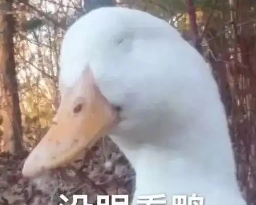  直击48行动17小时查获各类违法六千余宗深圳整治还在继续