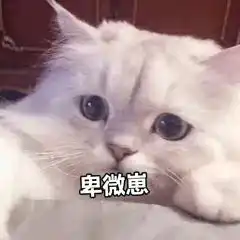  30块包邮的半身裙专治腿粗屁股大显瘦还百搭穿出去美炸街