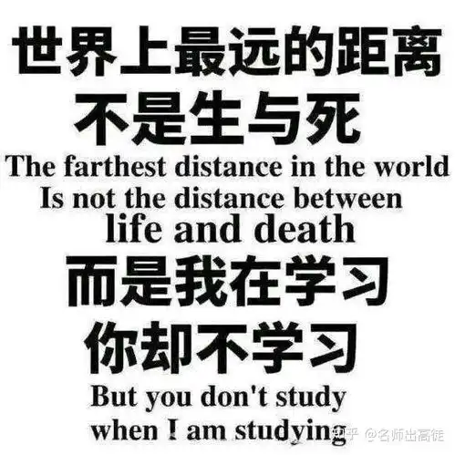  一个孩子11个暑假班,家长们都疯了吗