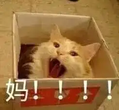 乖表情包不理