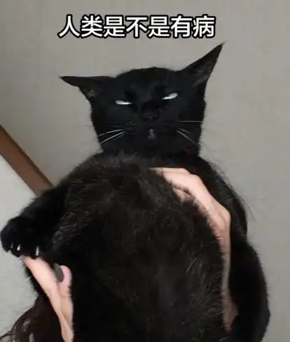  黑猫太傲娇,被主人抱时全身都在拒绝,猫强扭的瓜不甜