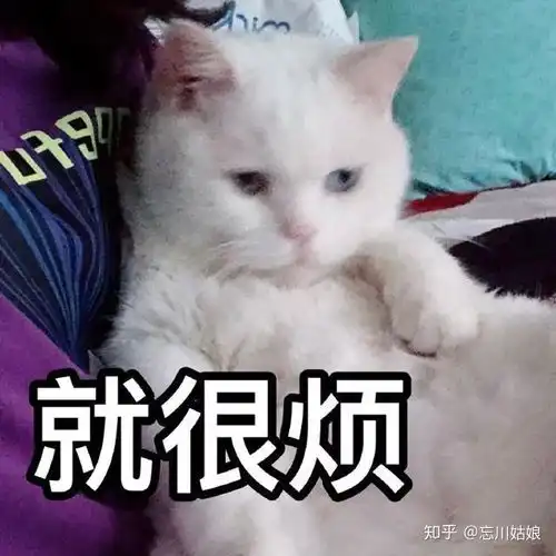  求模拟人生4mod有偿