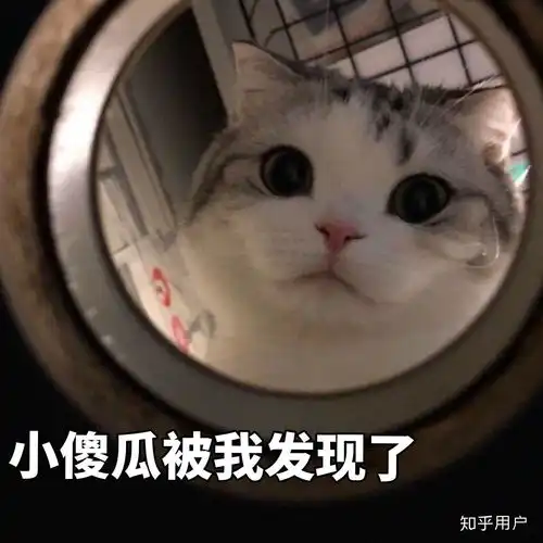  有什么可爱的表情包.