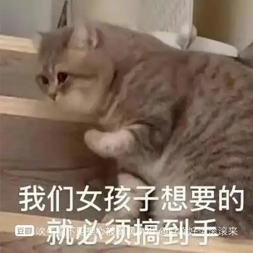  实习真的想要啥就有啥领导还给我递橄榄枝内附我...