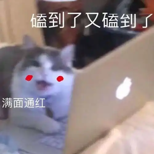  一视频巨头突然宣布涨价