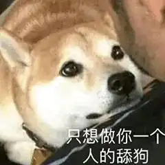 狗和猫的表情包狗子