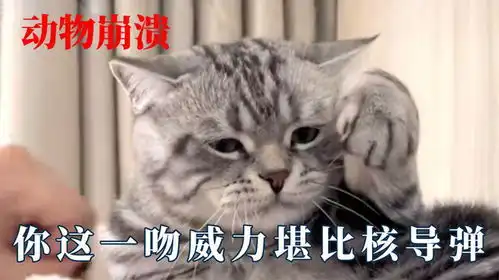  动物也有崩溃的表情,阿拉斯猪爆改开水壶,果然谁带孩子谁发疯