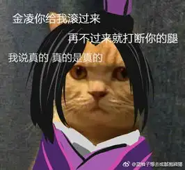  魔道祖师表情包
