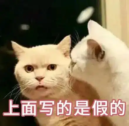  性价比高的良心猫粮有哪些推荐